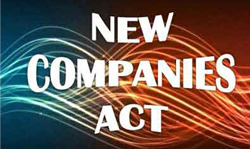 Company Act 2013